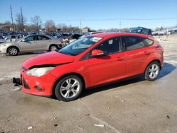 Lotes con ofertas a la venta en subasta: 2013 Ford Focus SE