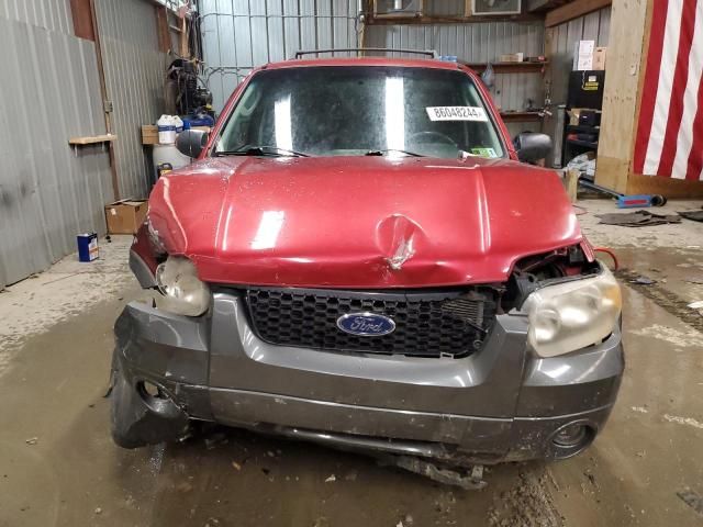 2005 Ford Escape XLT