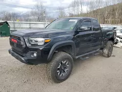 Salvage cars for sale at Hurricane, WV auction: 2023 Toyota Tacoma Access Cab