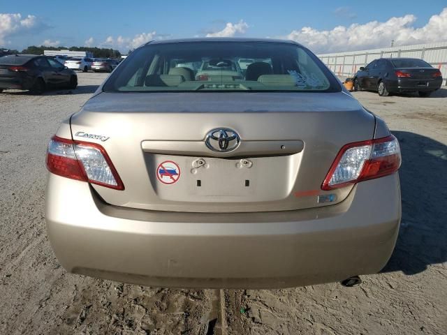 2009 Toyota Camry Hybrid