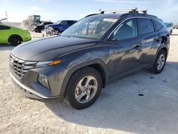 Hyundai Tucson salvage cars for sale: 2022 Hyundai Tucson SEL