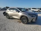 2023 Lexus NX 250