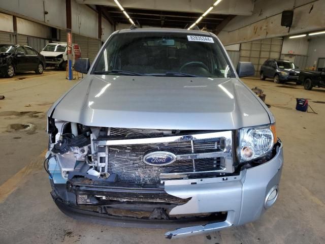 2009 Ford Escape XLT