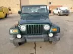 2001 Jeep Wrangler / TJ Sahara