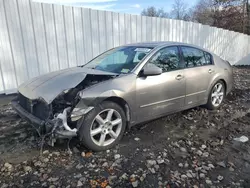 Salvage cars for sale at Windsor, NJ auction: 2006 Nissan Maxima SE