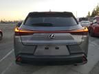 2019 Lexus UX 200