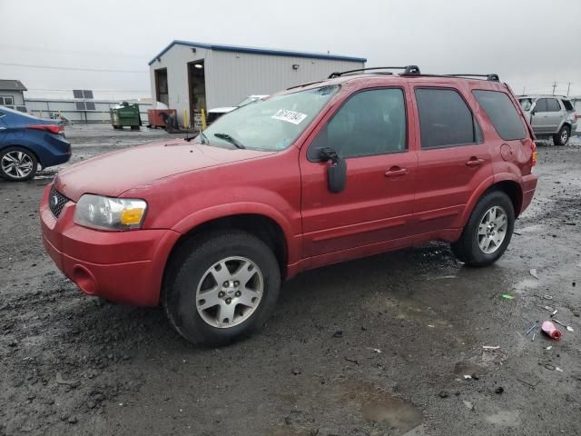 2005 Ford Escape Limited