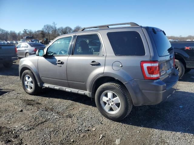 2010 Ford Escape XLT