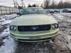 2005 Ford Mustang