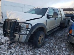 Salvage Trucks with No Bids Yet For Sale at auction: 2019 Ford F550 Super Duty