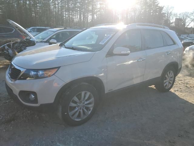 2011 KIA Sorento EX