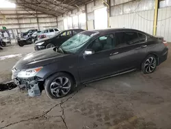 Salvage cars for sale at Phoenix, AZ auction: 2017 Honda Accord EXL