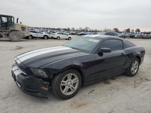 2013 Ford Mustang