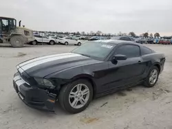 Salvage cars for sale at Sikeston, MO auction: 2013 Ford Mustang