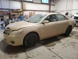 Toyota salvage cars for sale: 2010 Toyota Camry Base