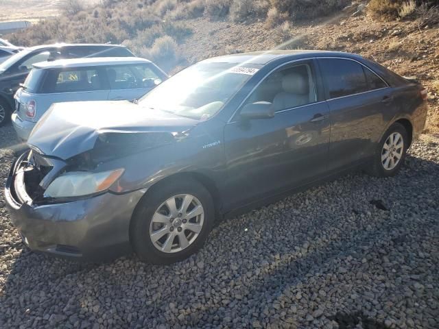 2009 Toyota Camry Hybrid