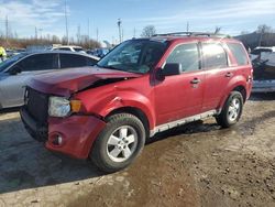 2009 Ford Escape XLT en venta en Bridgeton, MO