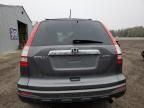 2011 Honda CR-V EXL