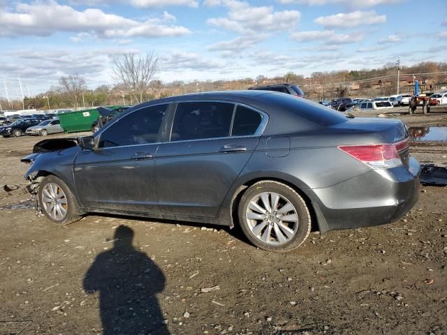 2011 Honda Accord EX