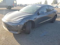 2019 Tesla Model 3 en venta en Rancho Cucamonga, CA