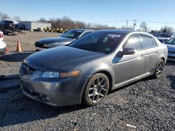 Salvage cars for sale at Hillsborough, NJ auction: 2008 Acura TL