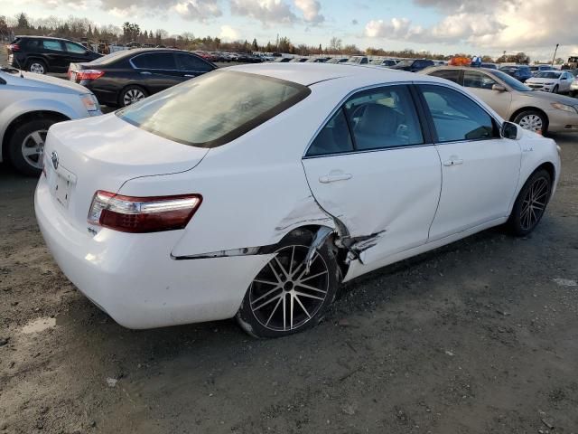 2009 Toyota Camry Hybrid