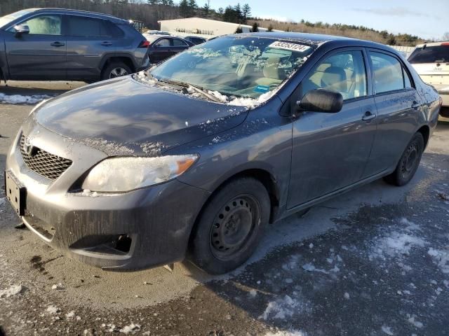 2010 Toyota Corolla Base