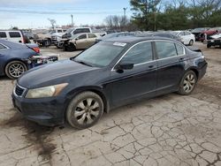 Salvage cars for sale at Lexington, KY auction: 2008 Honda Accord EXL