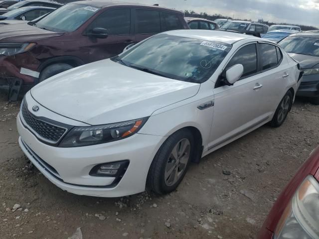 2015 KIA Optima Hybrid