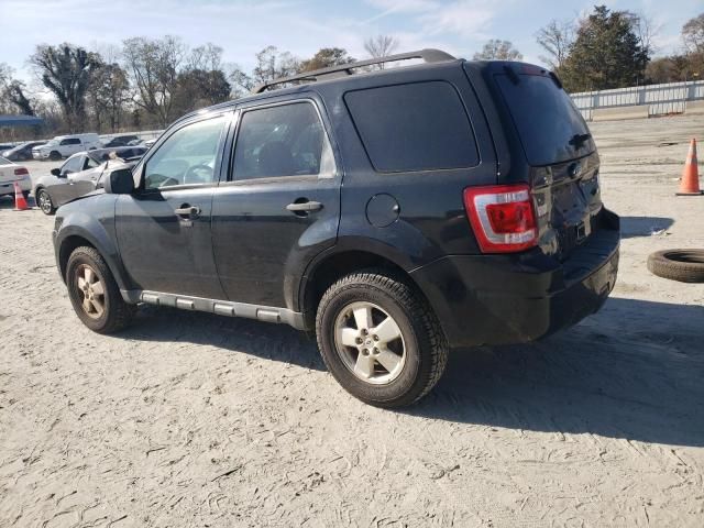 2010 Ford Escape XLT