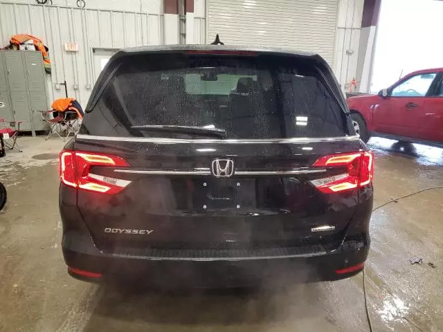 2024 Honda Odyssey Touring