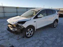 Ford Vehiculos salvage en venta: 2014 Ford Escape SE