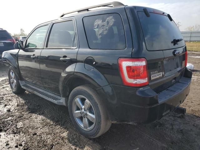 2010 Ford Escape XLT