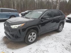 Salvage cars for sale at Cookstown, ON auction: 2024 Toyota Rav4 XLE