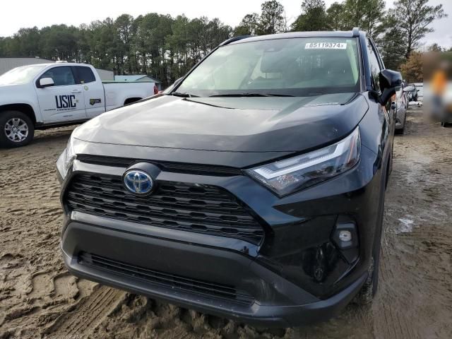 2023 Toyota Rav4 XLE Premium