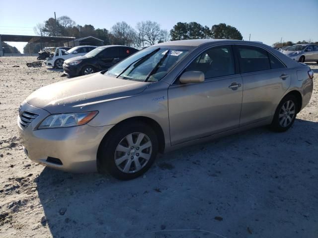 2009 Toyota Camry Hybrid