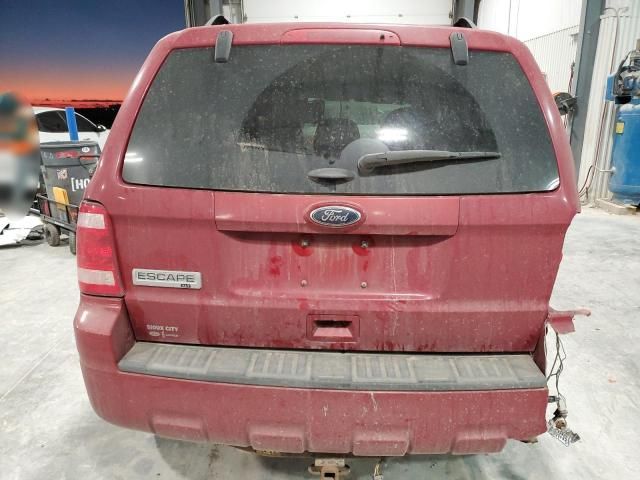 2011 Ford Escape XLT