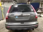 2011 Honda CR-V EXL