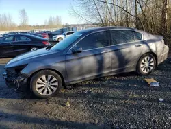 Honda Accord exl salvage cars for sale: 2013 Honda Accord EXL