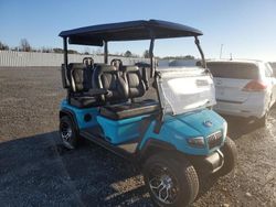 Vehiculos salvage en venta de Copart Lumberton, NC: 2024 Other Golf Cart