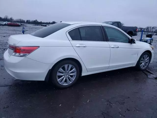 2011 Honda Accord EXL