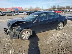 Honda Vehiculos salvage en venta: 2010 Honda Accord EXL