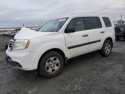 Honda salvage cars for sale: 2013 Honda Pilot LX