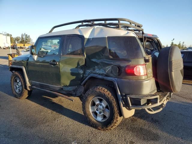 2010 Toyota FJ Cruiser