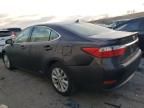 2014 Lexus ES 300H