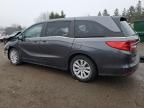 2020 Honda Odyssey LX