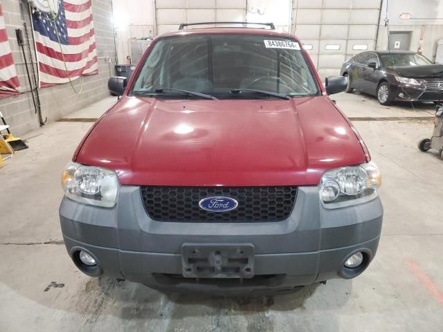 2007 Ford Escape XLT