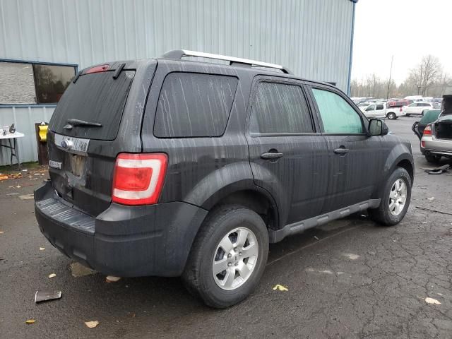 2011 Ford Escape Limited