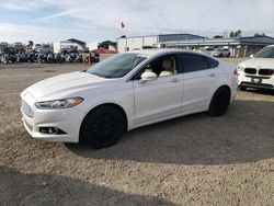 Salvage cars for sale at San Diego, CA auction: 2013 Ford Fusion SE