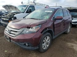 2014 Honda CR-V EXL en venta en Elgin, IL